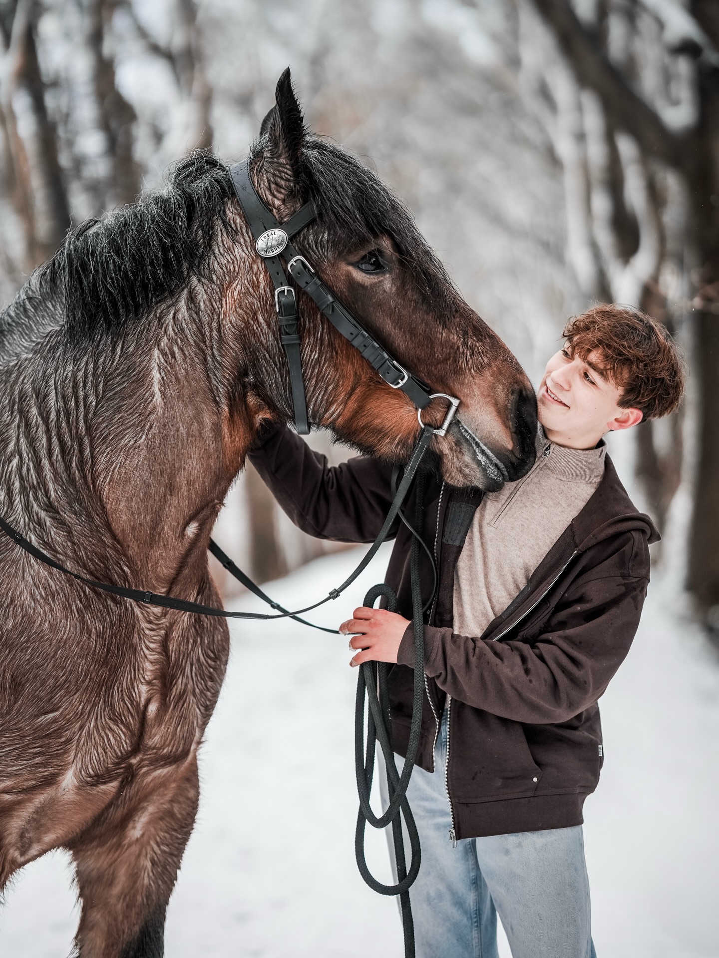 Robin Cooijmans aait een trekpaard in een besneeuwd bos