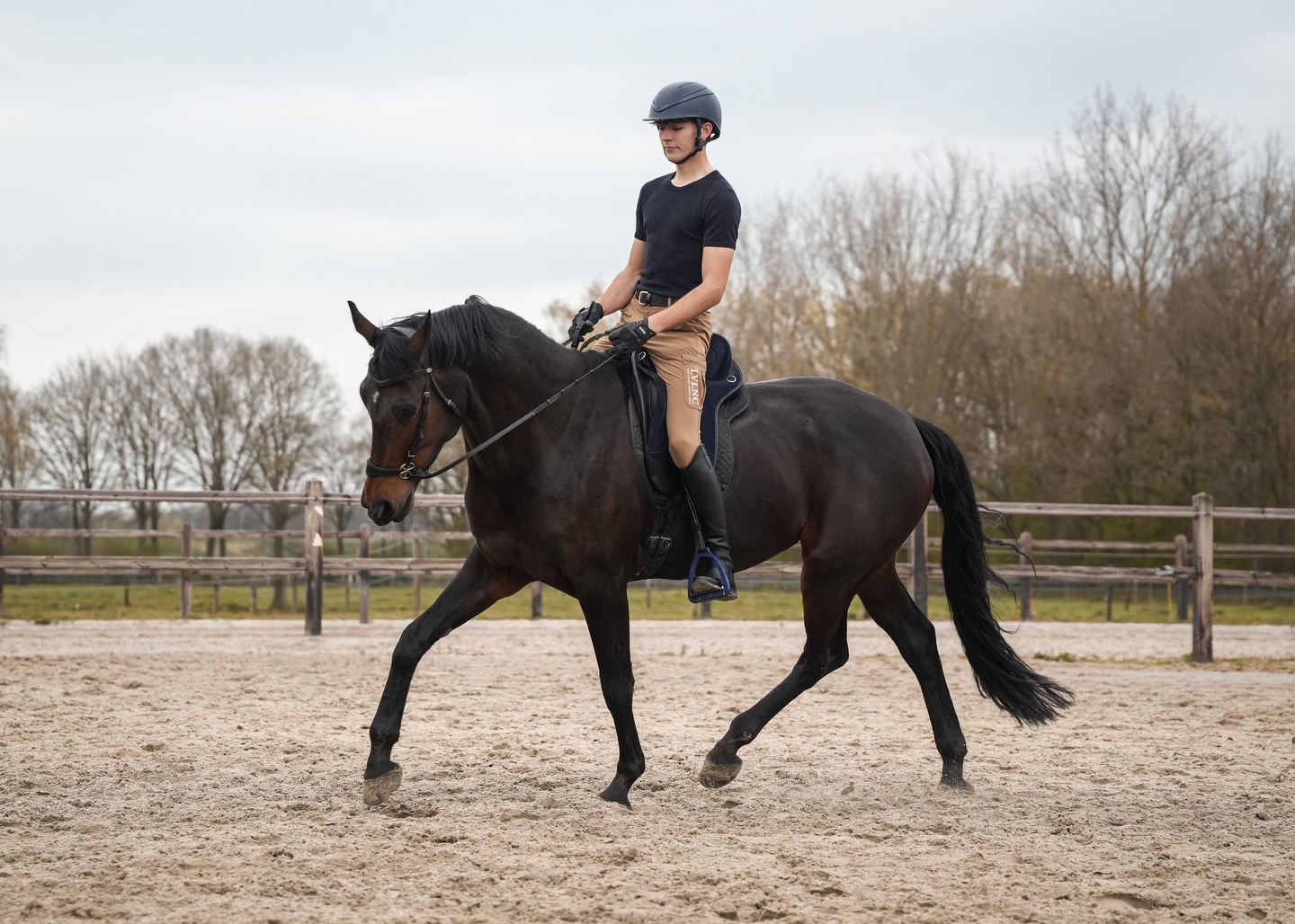 Robin Cooijmans rijdt een jong paard in de buitenbak